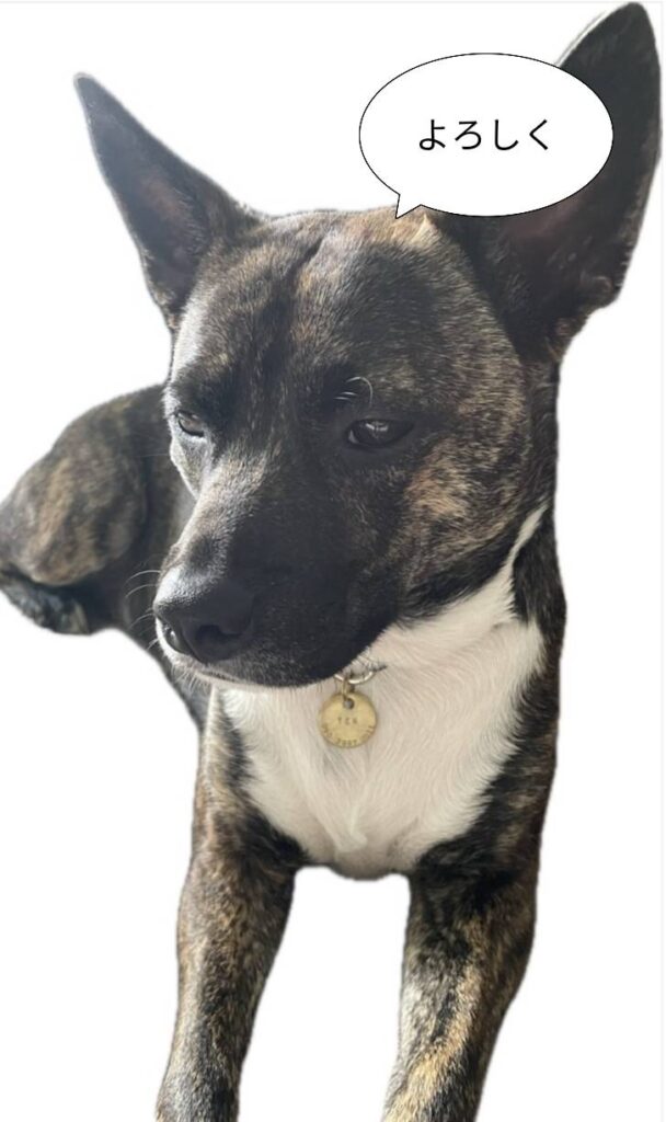 てんくんと一緒に居たいのでFXの自動売買を始めました